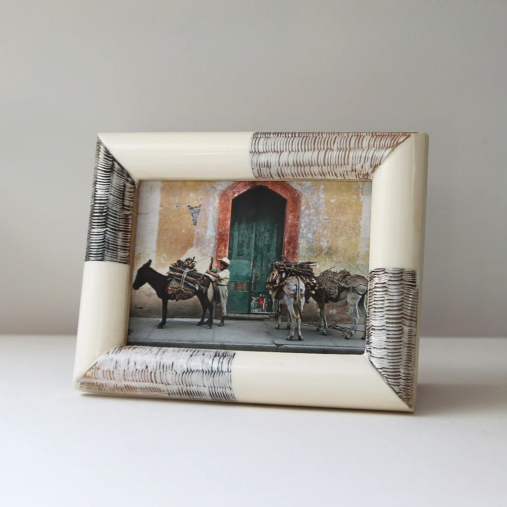 Bicolor Horn Style Photo Frame